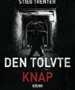 Den Tolvte Knap - Stieg Trenter - Bog