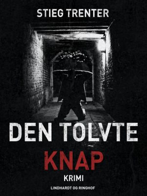 Den Tolvte Knap - Stieg Trenter - Bog