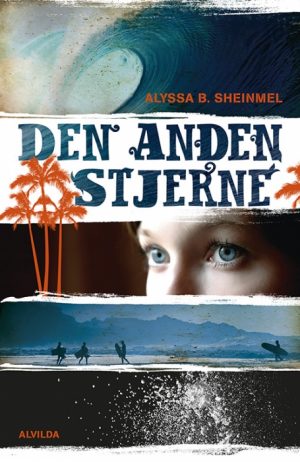 Den anden stjerne (Bog)