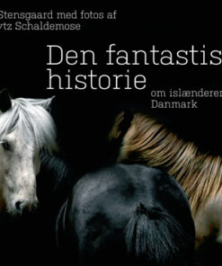 Den fantastiske historie om islænderen i Danmark (Bog)