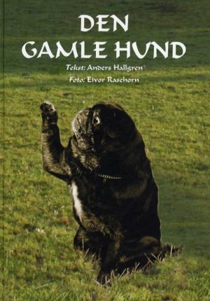 Den gamle hund (Bog)