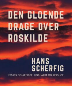 Den gloende drage over Roskilde (E-bog)