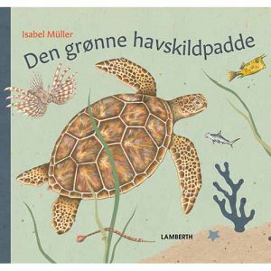 Den grønne havskildpadde (Bog)