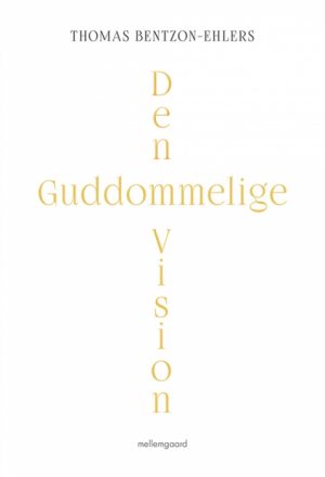 Den guddommelige vision (Bog)