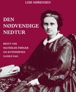 Den nødvendige nedtur (E-bog)
