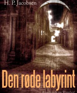 Den røde labyrint (Bog)
