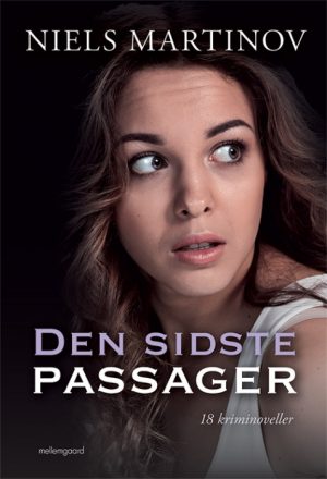 Den sidste passager (E-bog)