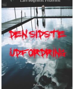 Den sidste udfordring (E-bog)