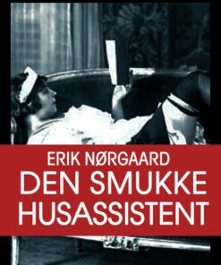 Den smukke husassistent (E-bog)