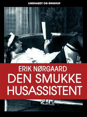 Den smukke husassistent (E-bog)