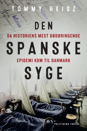 Den spanske syge (E-bog)