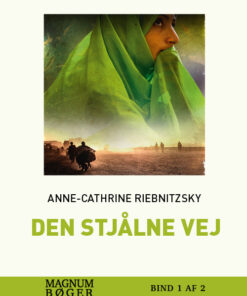 Den stjålne vej (storskrift) (Bog)