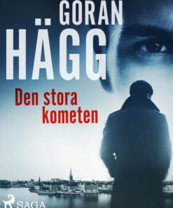 Den stora kometen (E-bog)