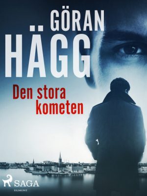 Den stora kometen (E-bog)