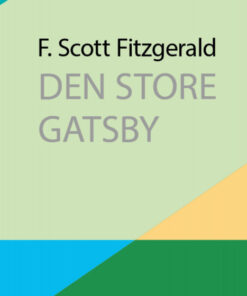 Den store Gatsby (E-bog)