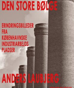 Den store bølge (Bog)