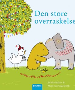 Den store overraskelse (Bog)