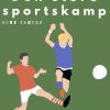 Den store sportskamp (E-bog)