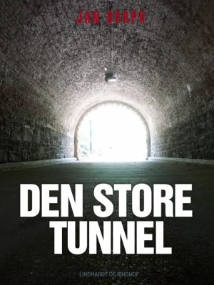 Den store tunnel (E-bog)