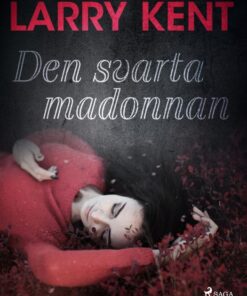 Den svarta madonnan (E-bog)