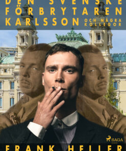 Den svenske förbrytaren Karlsson och några kollegor (E-bog)
