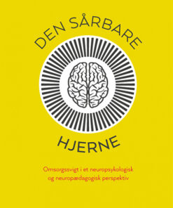 Den sårbare hjerne (E-bog)
