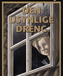 Den usynlige dreng (Bog)