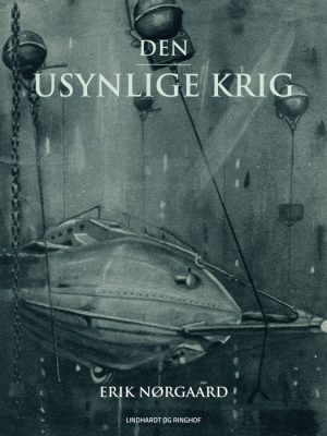 Den usynlige krig (E-bog)