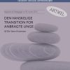 Den vanskelige transition for anbragte unge (E-bog)