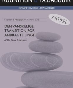 Den vanskelige transition for anbragte unge (E-bog)