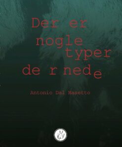 Der Er Nogle Typer Dernede - Antonio Dal Masetto - Bog
