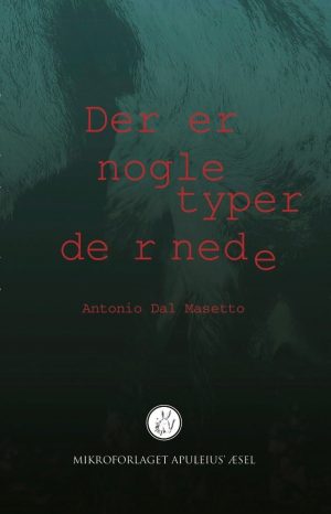 Der Er Nogle Typer Dernede - Antonio Dal Masetto - Bog