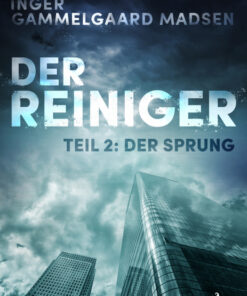 Der Reiniger: Der Sprung - Teil 2 (E-bog)