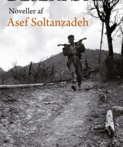 Desertøren - Asef Soltanzadeh - Bog
