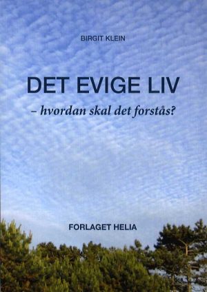 Det Evige Liv - Hvordan Skal Det Forstås - Birgit Klein - Bog