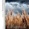 Det Forjættede Land - Henrik Pontoppidan - Bog