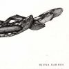 Det Fuldkomne Mord - Djuna Barnes - Bog