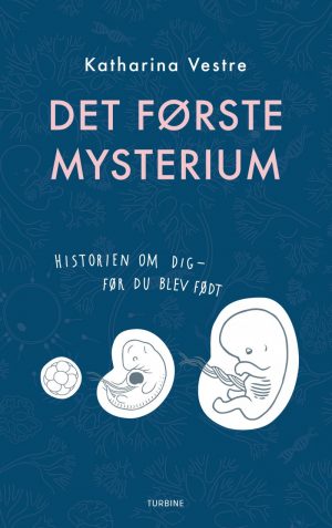 Det Første Mysterium - Katharina Vestre - Bog