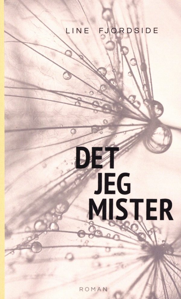 Det Jeg Mister - Line Fjordside - Bog