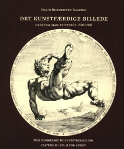 Det Kunstfærdige Billede - David Burmeister Kaaring - Bog