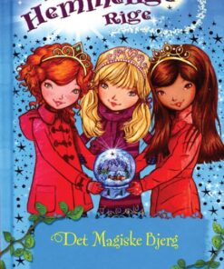 Det Magiske Bjerg (E-bog)