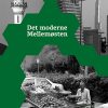 Det Moderne Mellemøsten - Birgitte Vestermark - Bog
