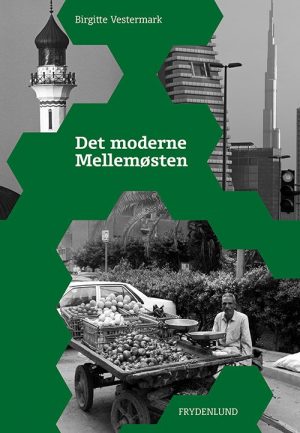 Det Moderne Mellemøsten - Birgitte Vestermark - Bog