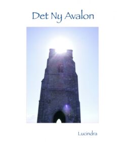 Det Ny Avalon (E-bog)