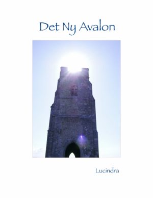 Det Ny Avalon (E-bog)