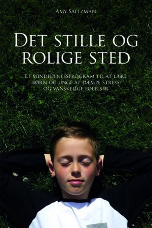 Det Stille Og Rolige Sted - Amy Saltzman - Bog