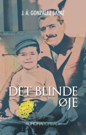 Det blinde øje (Bog)