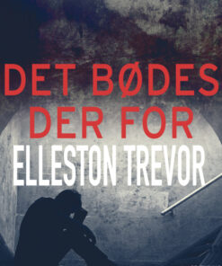Det bødes der for (E-bog)