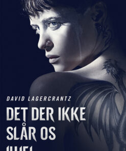 Det der ikke slår os ihjel (E-bog)