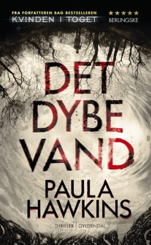 Det dybe vand (Bog)